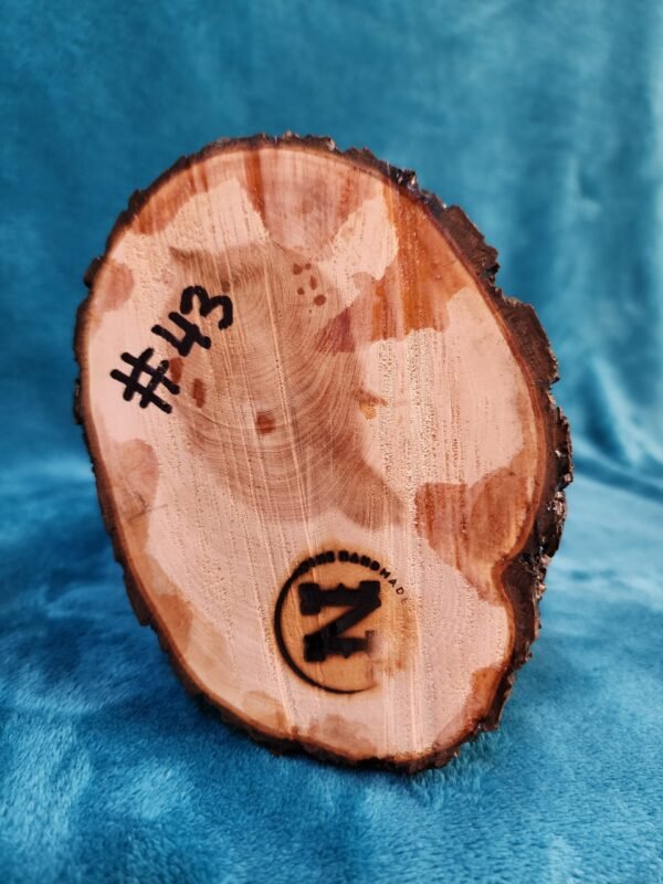 Texas Longhorn & Alligator Juniper