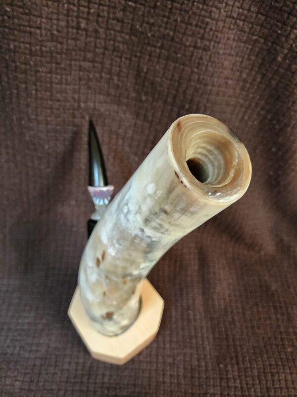 Deadhead Texas Longhorn & White Ash