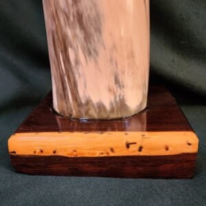 Texas Longhorn & African Black Ebony
