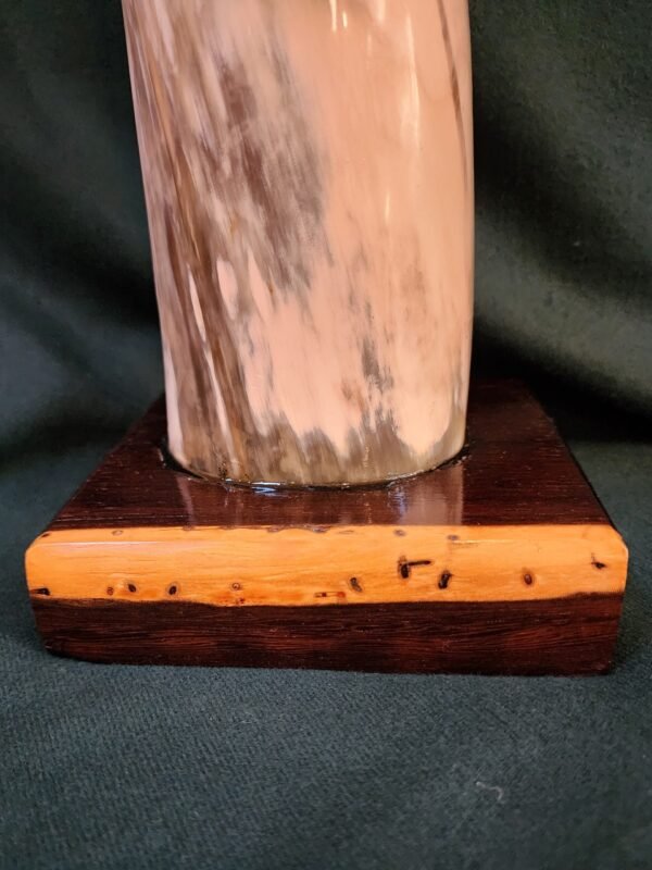 Texas Longhorn & African Black Ebony