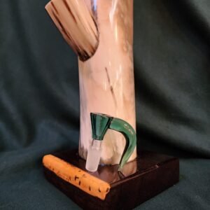Texas Longhorn & African Black Ebony