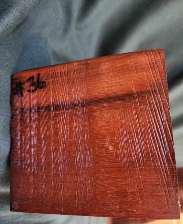 Texas Longhorn & African Black Ebony
