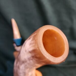 Steer Horn & Alligator Juniper