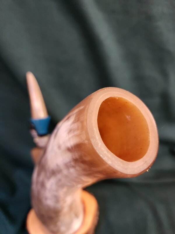 Steer Horn & Alligator Juniper