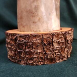 Steer Horn & Alligator Juniper
