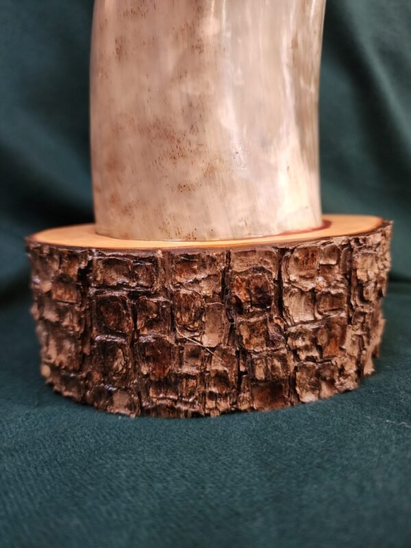 Steer Horn & Alligator Juniper