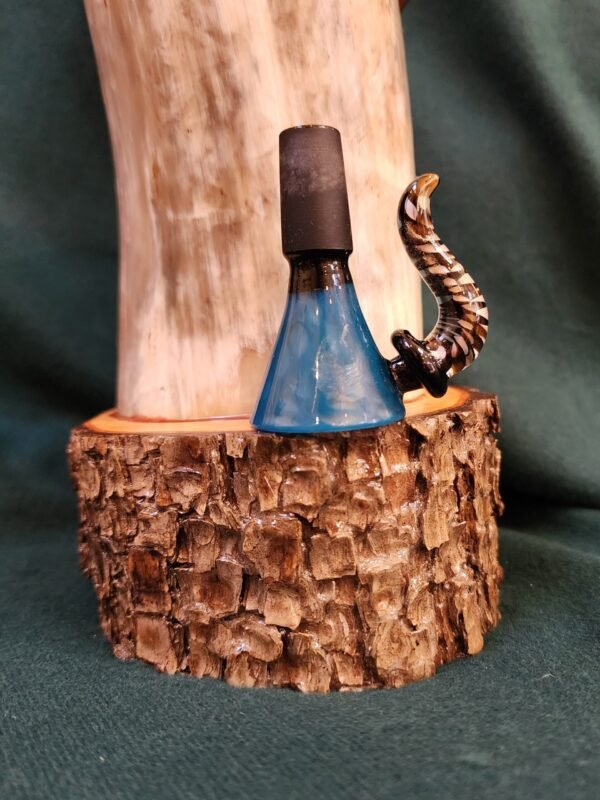Steer Horn & Alligator Juniper