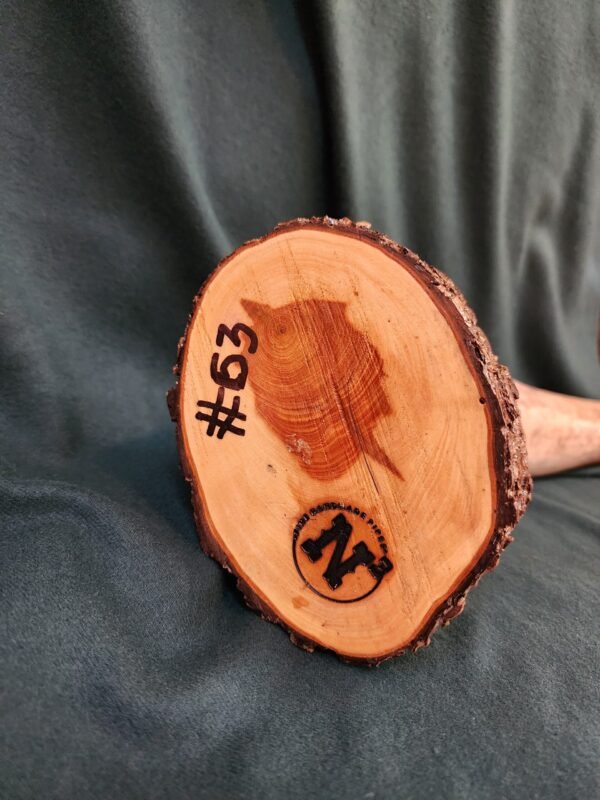 Steer Horn & Alligator Juniper