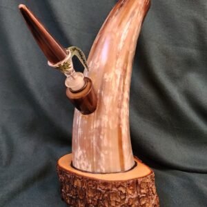 Steer Horn & Alligator Juniper