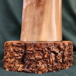 Steer Horn & Alligator Juniper