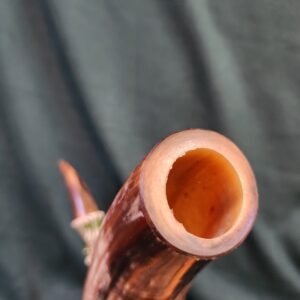 Steer Horn & Alligator Juniper