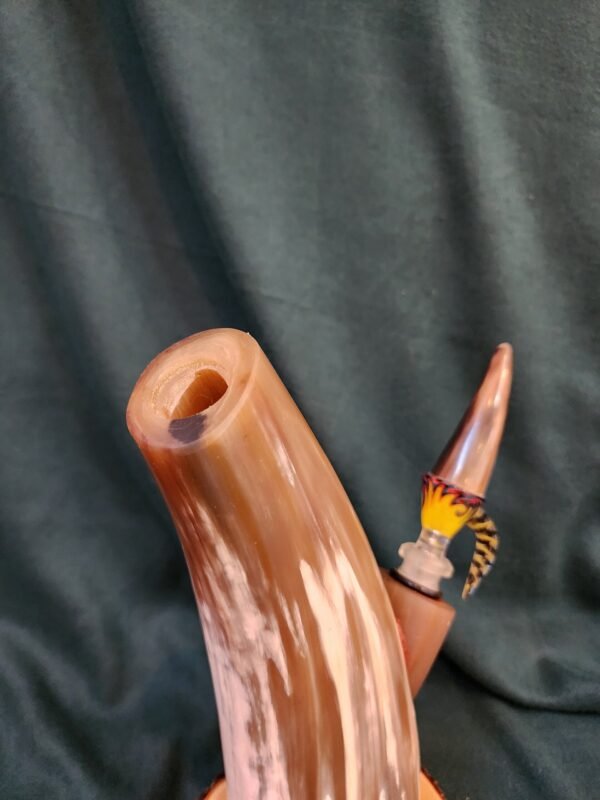 Steer Horn & Alligator Juniper