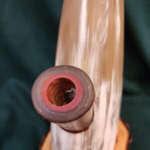 Steer Horn & Alligator Juniper