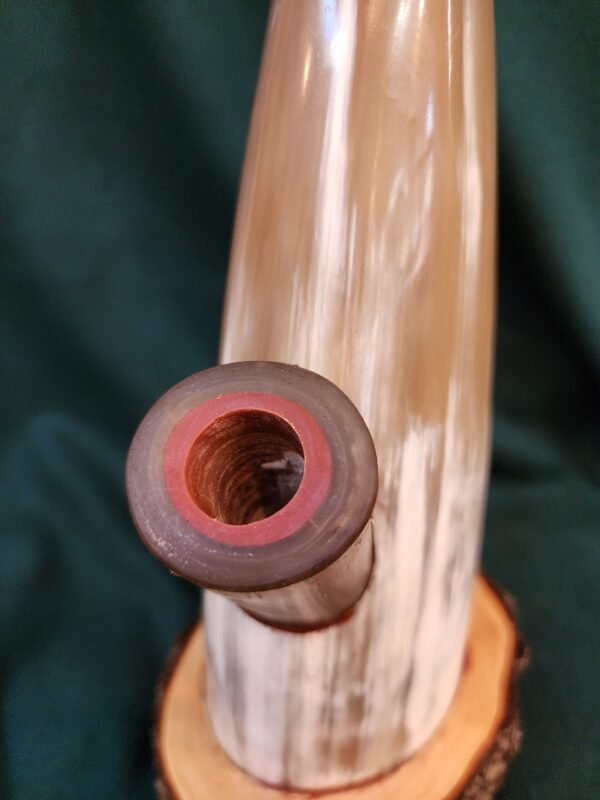 Steer Horn & Alligator Juniper