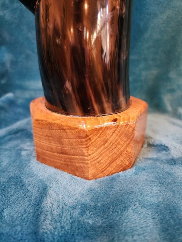 Steer Horn & Jatoba