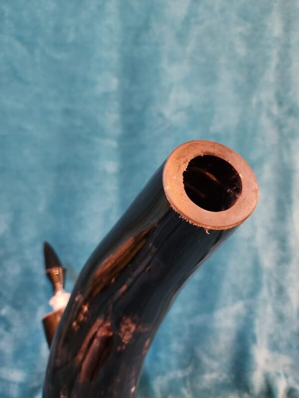 Steer Horn & Jatoba