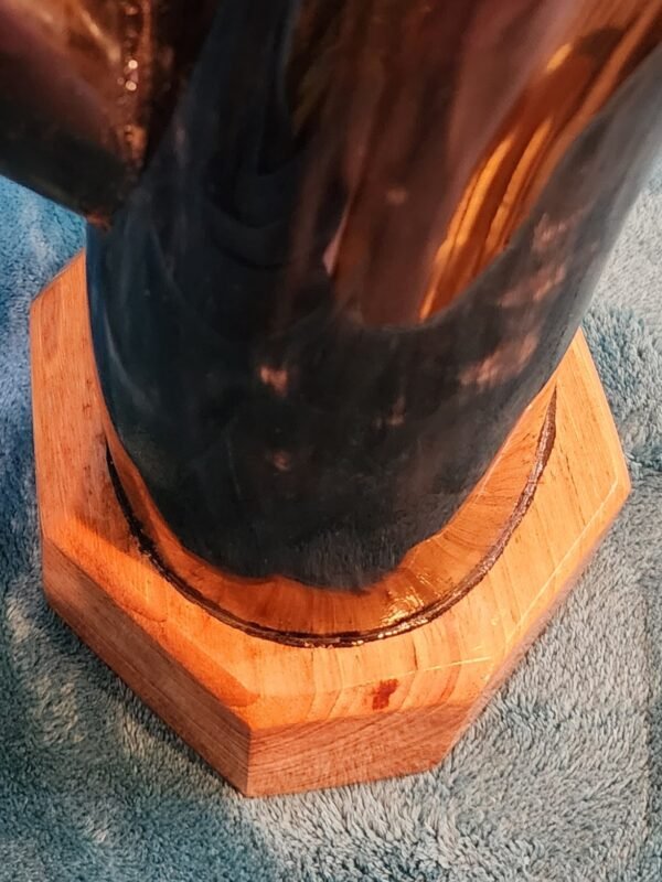 Steer Horn & Jatoba