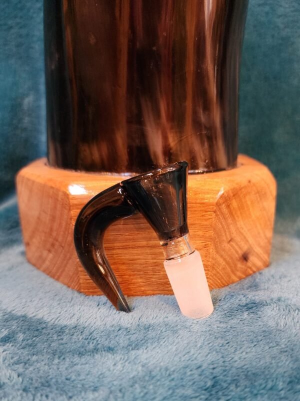 Steer Horn & Jatoba