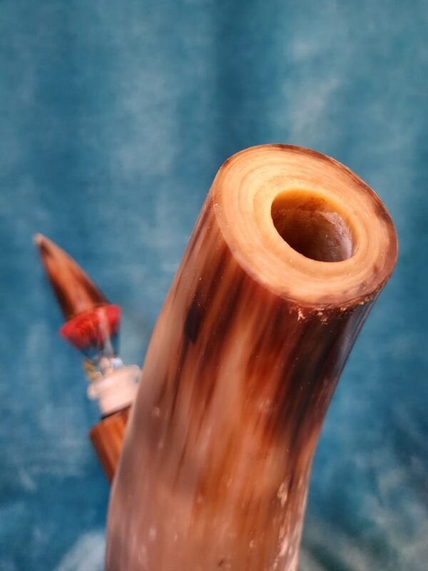 Steer Horn & Eucalyptus