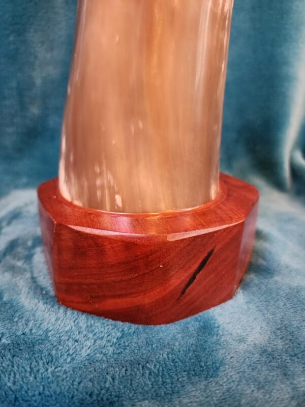 Steer Horn & Eucalyptus