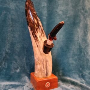 Texas Longhorn & African Mahogany with Texas Longhorn University of Texas Medallion