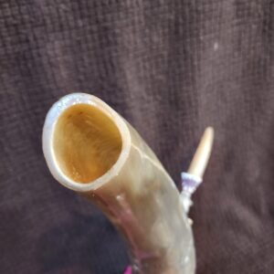 Steer Horn & Purple Heart Wood